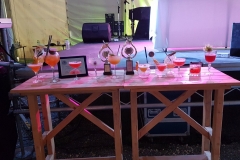 Young Bartender Corfu